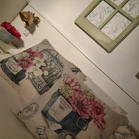Country house Oliva *
