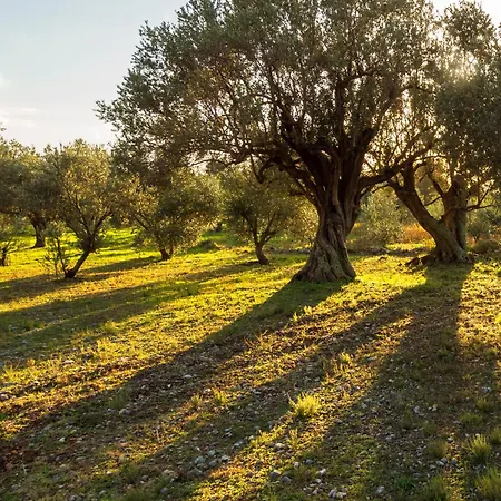 Country house Oliva Sanlucar la Mayor